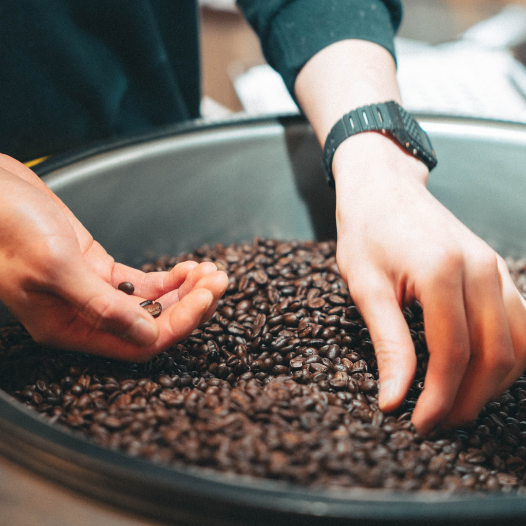 [House Roast] Daily Rich Blend (RIC-0001) / 深煎り