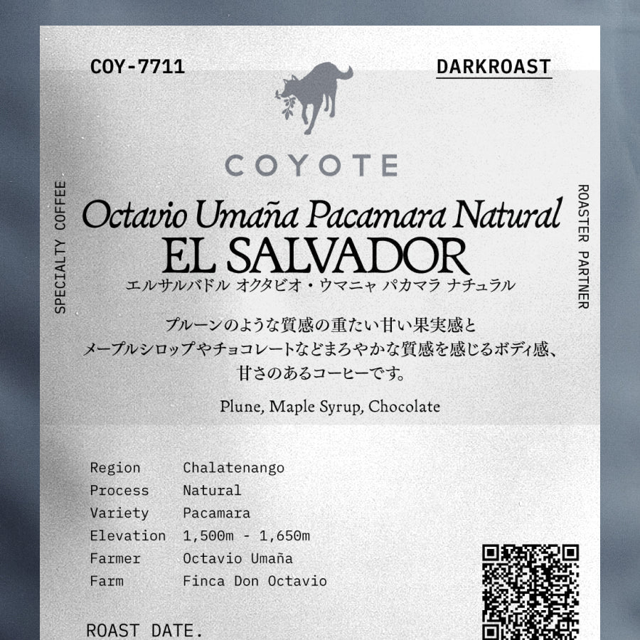 COYOTE エルサルバドル オクタビオ・ウマニャ パカマラ ナチュラル 深煎り (COY-7711)