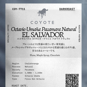 COYOTE エルサルバドル オクタビオ・ウマニャ パカマラ ナチュラル 深煎り (COY-7711)