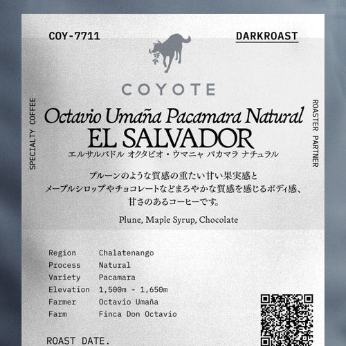 COYOTE エルサルバドル オクタビオ・ウマニャ パカマラ ナチュラル 深煎り (COY-7711)