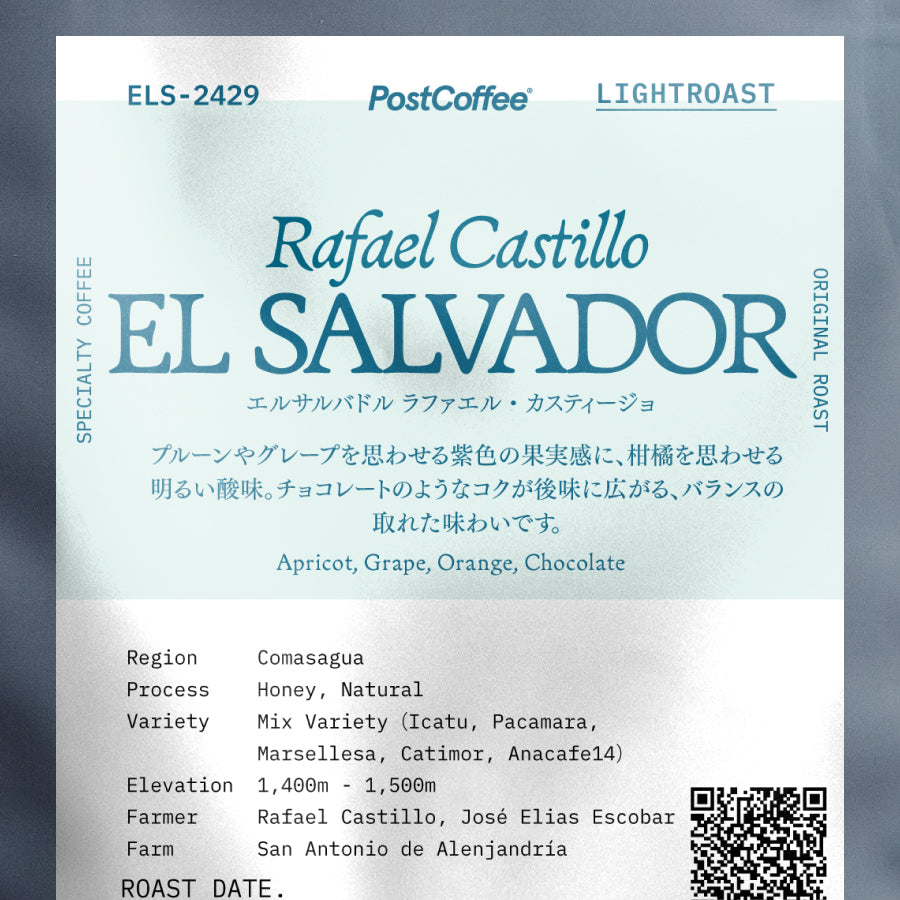 [Signature Roast] El Salvador Rafael Castillo (ELS-2429) / 浅煎り
