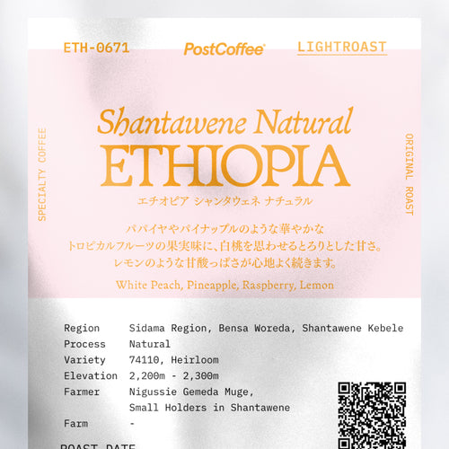 [Signature Roast] Ethiopia Shantawene Natural (ETH-0671) / 浅煎り