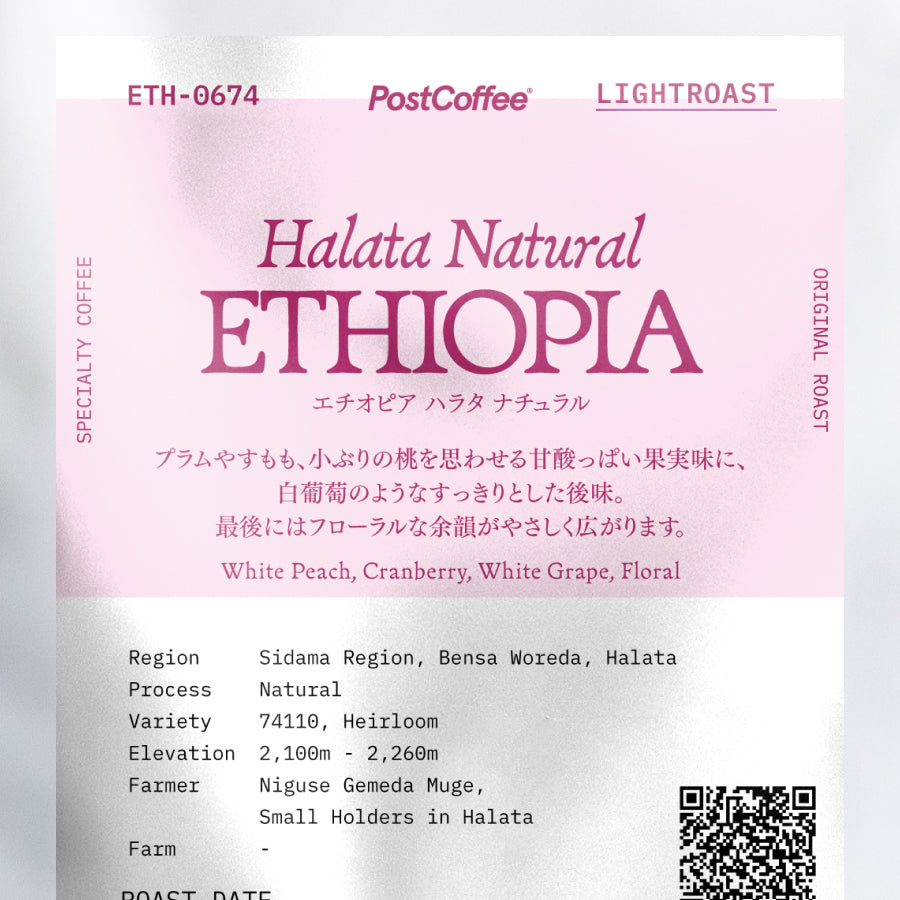 [Signature Roast] Ethiopia Halata Natural(ETH-0674) / 浅煎り