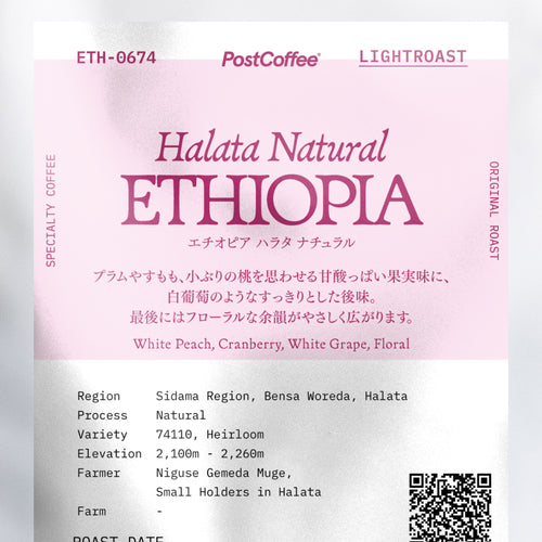 [Signature Roast] Ethiopia Halata Natural(ETH-0674) / 浅煎り