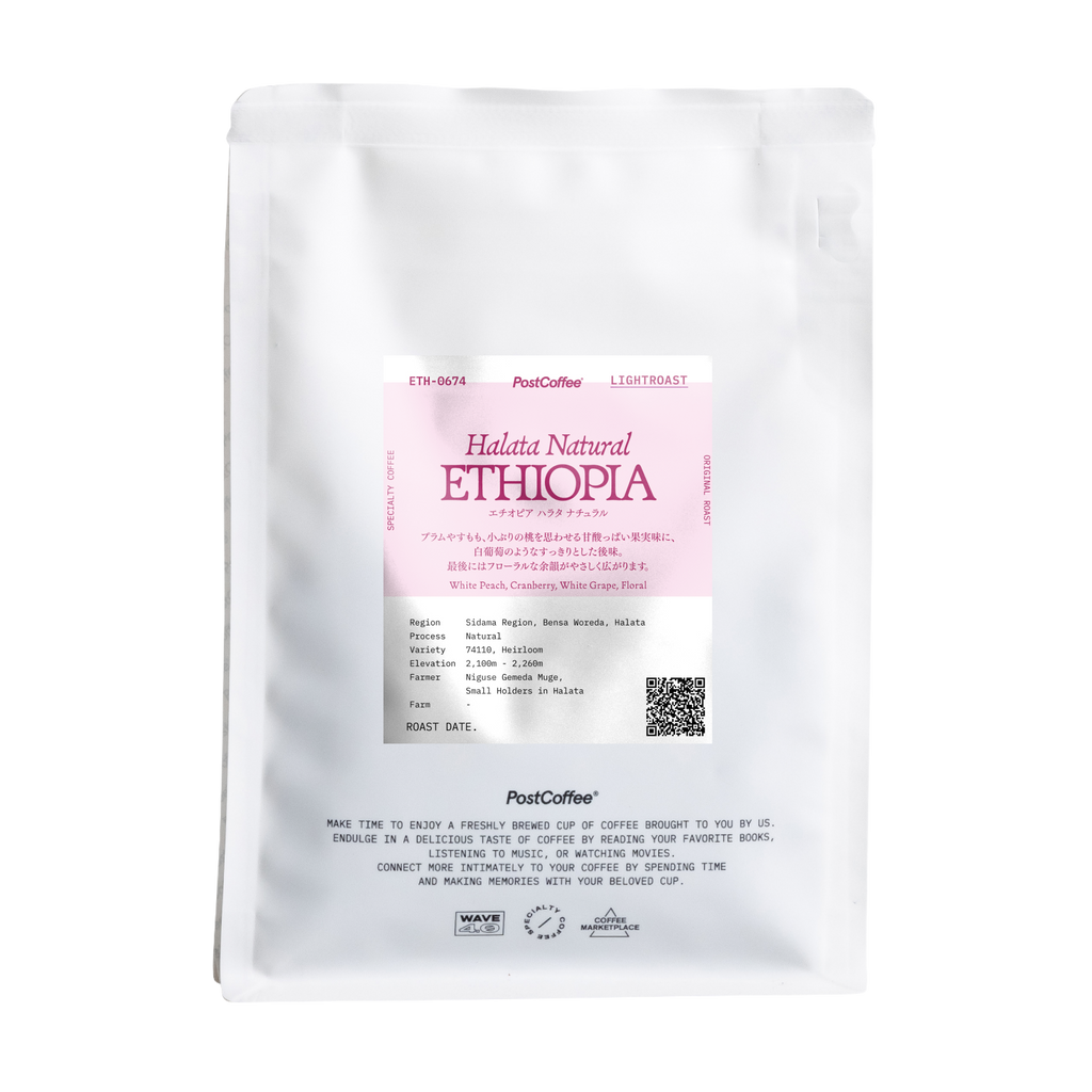 [Signature Roast] Ethiopia Halata Natural(ETH-0674) / 浅煎り