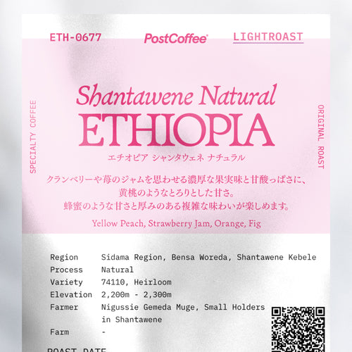 [Signature Roast] Ethiopia Shantawene Natural (ETH-0677) / 浅煎り
