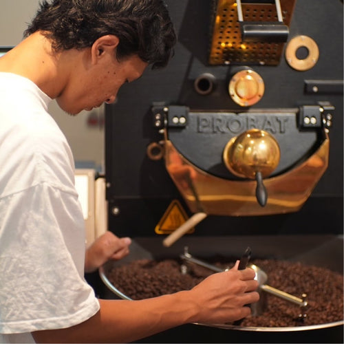 Coffee Supreme Japan エチオピア アナソラ 浅煎り (SUP-8604)