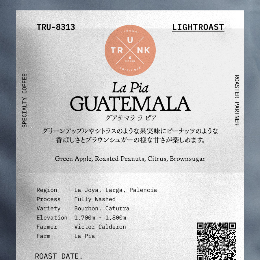 TRUNK COFFEE グアテマラ ラ ピア 浅煎り (TRU-8313)